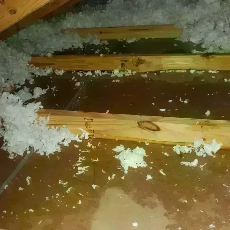 Attic Water Damage in Portland, MI