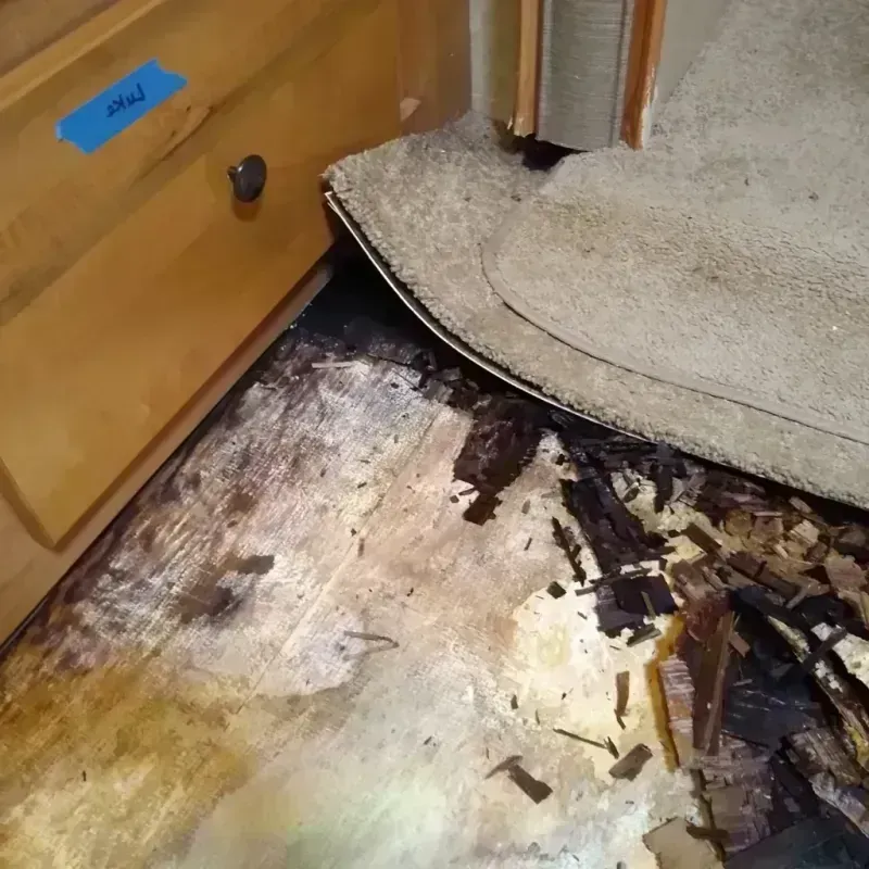 Wood Floor Water Damage in Portland, MI